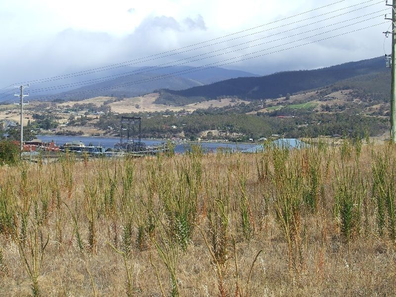 Bridgewater TAS 7030