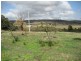 939 Tea Tree Road, Tea Tree TAS 7017