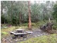 Bradys Lake TAS 7140