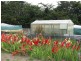 Mount Seymour TAS 7120