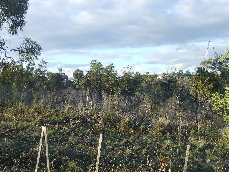 Bridgewater TAS 7030