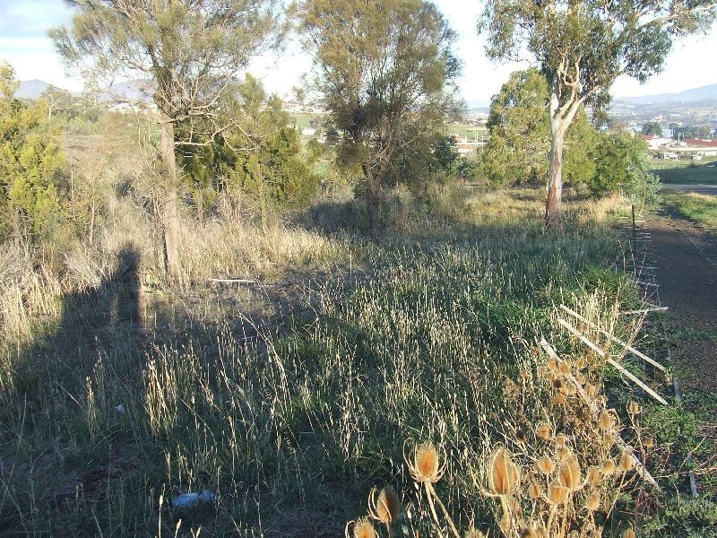 Bridgewater TAS 7030