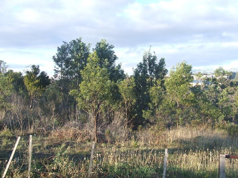 Bridgewater TAS 7030