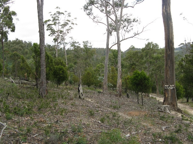 Colebrook TAS 7027