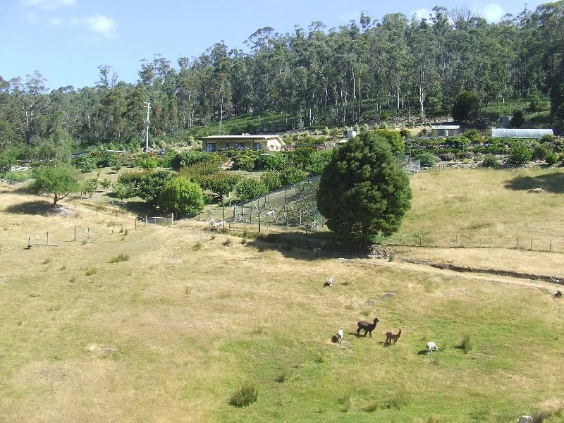 Dromedary TAS 7030