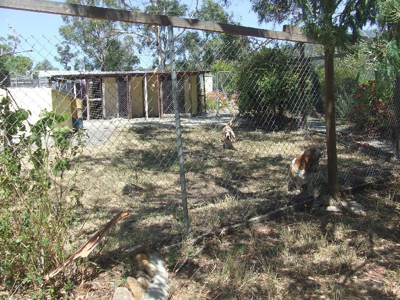 1160 Church Road, Broadmarsh TAS 7030