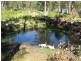 323 Forest Road, Rhyndaston TAS 7120