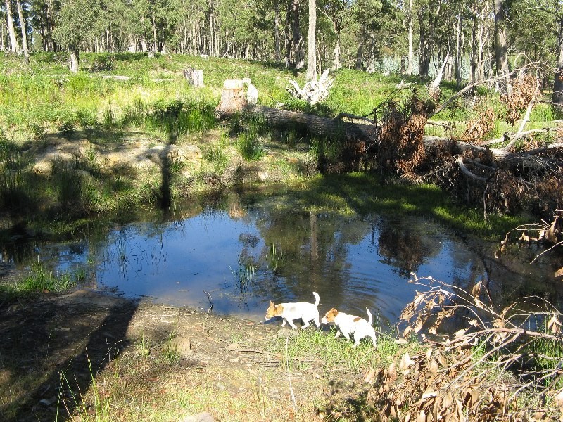 323 Forest Road, Rhyndaston TAS 7120