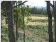 323 Forest Road, Rhyndaston TAS 7120