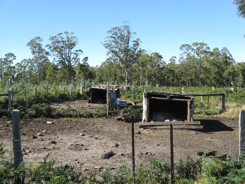 323 Forest Road, Rhyndaston TAS 7120