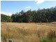 Colebrook TAS 7027