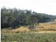 Colebrook TAS 7027