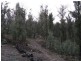 Elderslie TAS 7030