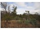 Lot 9/500 Baskerville Road, Old Beach TAS 7017