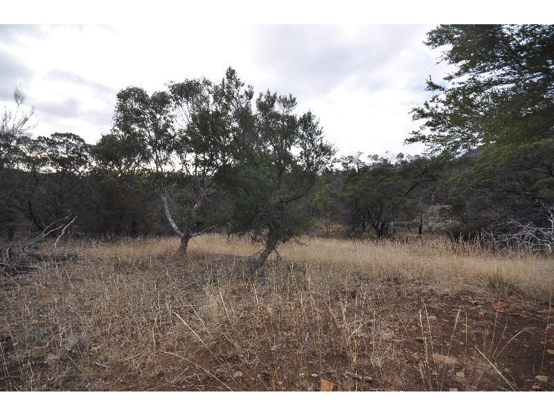 Lot 9/500 Baskerville Road, Old Beach TAS 7017