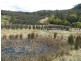 50 New Country Marsh Road, Levendale TAS 7120