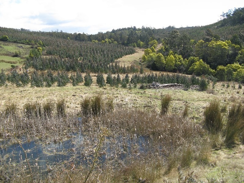 50 New Country Marsh Road, Levendale TAS 7120