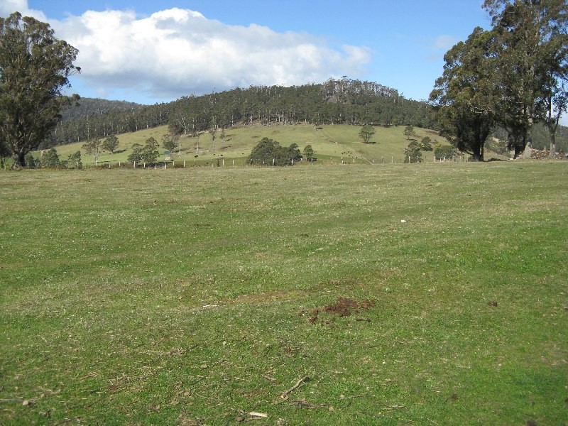 50 New Country Marsh Road, Levendale TAS 7120
