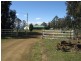 50 New Country Marsh Road, Levendale TAS 7120