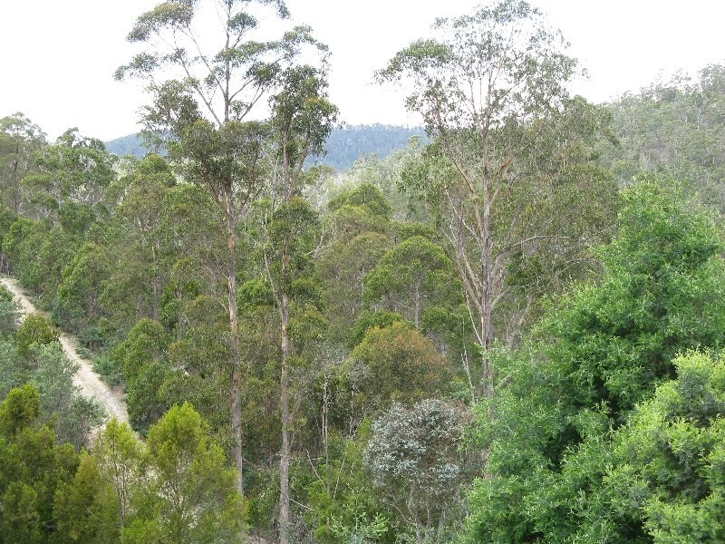 Colebrook TAS 7027