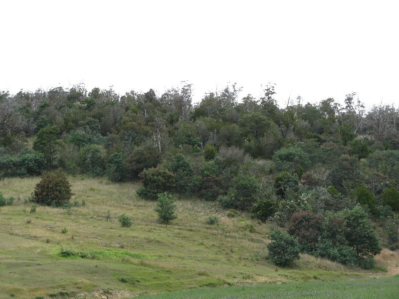 Lots 1 and 5 Link Road, Colebrook TAS 7027