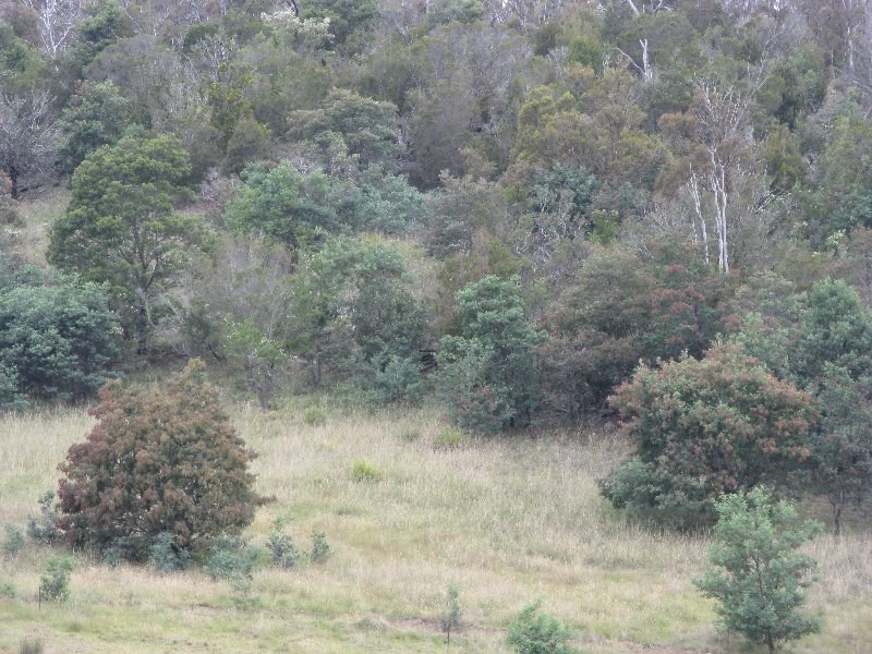 Lots 1 and 5 Link Road, Colebrook TAS 7027