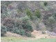 Lots 1 and 5 Link Road, Colebrook TAS 7027