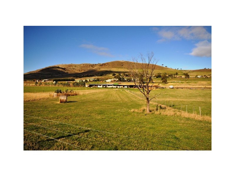 Brighton TAS 7030