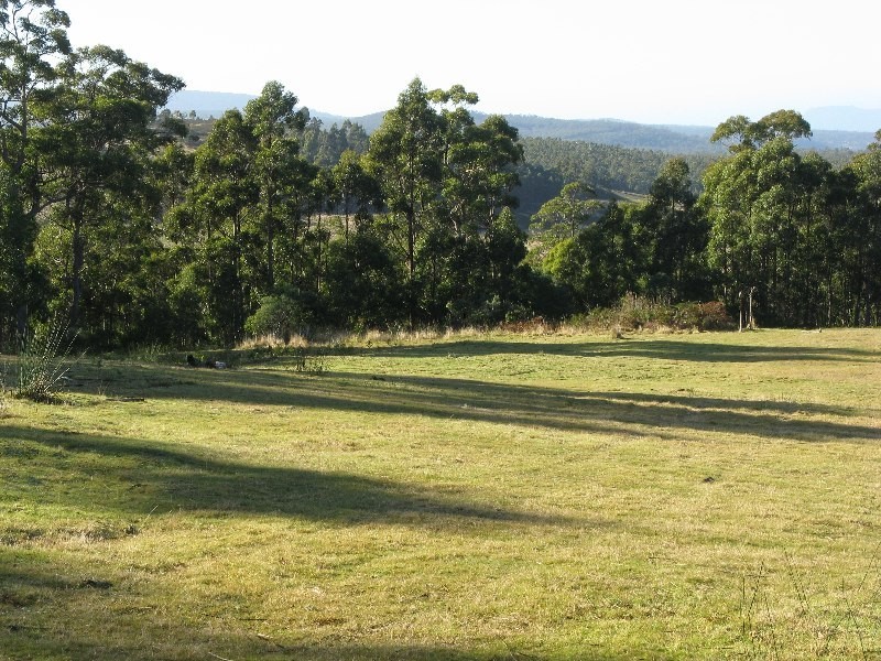 . Buckland Road, Levendale TAS 7120