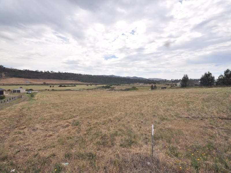 Brighton TAS 7030