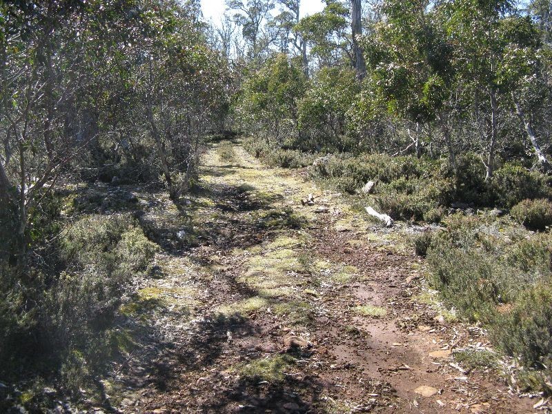 . Woods Lake Road, Interlaken TAS 7030