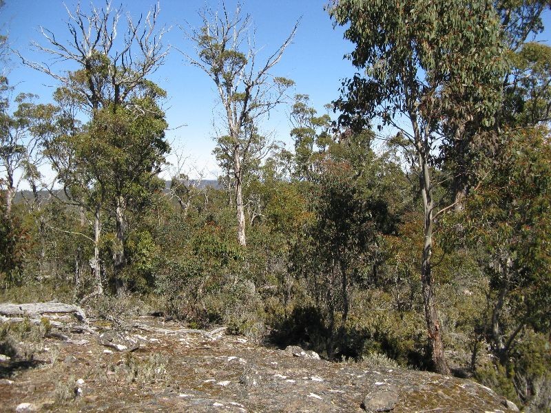 . Woods Lake Road, Interlaken TAS 7030