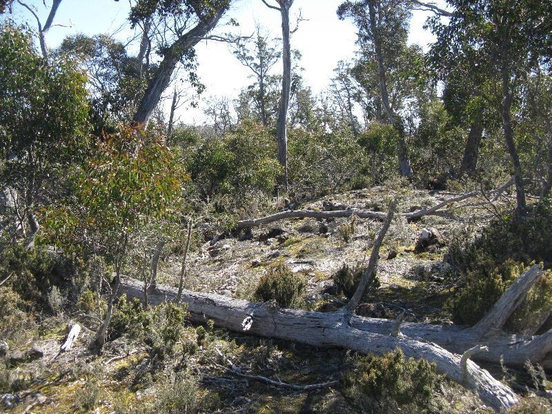 . Woods Lake Road, Interlaken TAS 7030