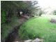 124 Memorial Avenue, Kempton TAS 7030