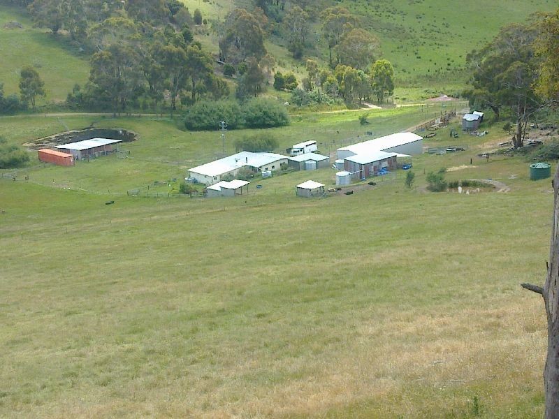 Elderslie TAS 7030
