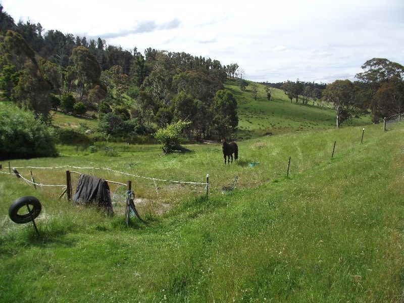 Elderslie TAS 7030