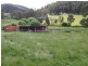Elderslie TAS 7030