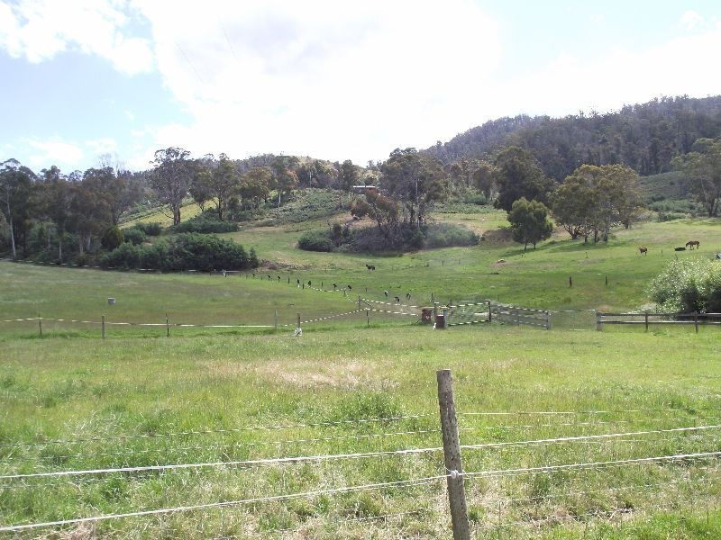 Elderslie TAS 7030