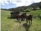 Elderslie TAS 7030