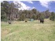 Elderslie TAS 7030