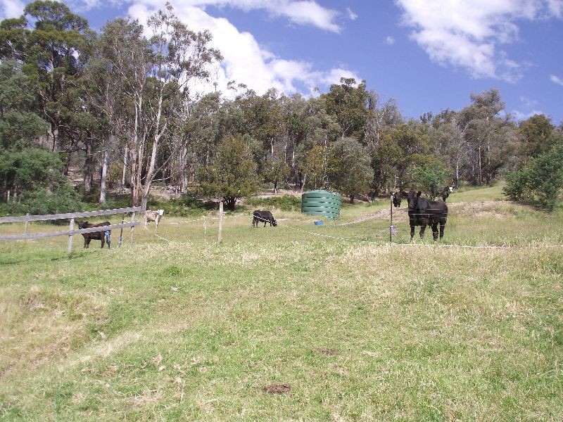 Elderslie TAS 7030