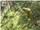 7 Van Leeuwen Crescent, Spring Beach TAS 7190