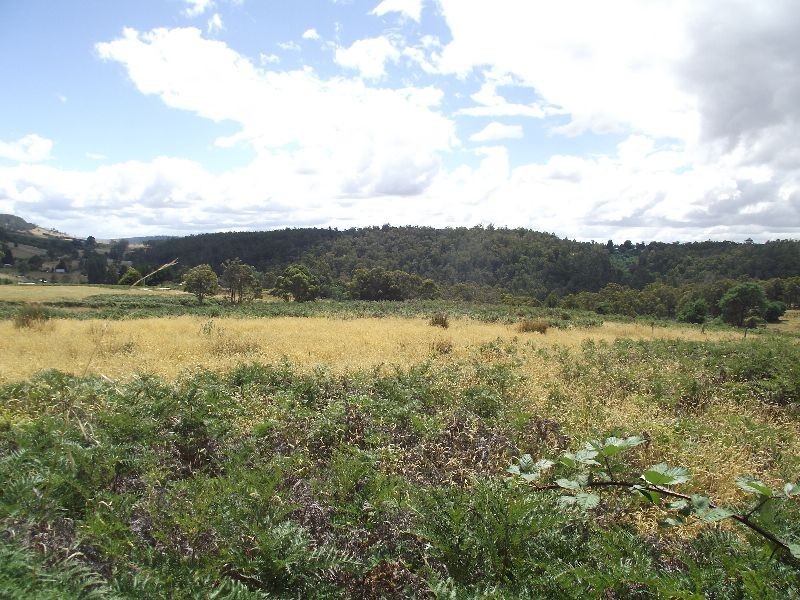 Rhyndaston TAS 7120