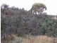 Colebrook TAS 7027