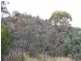 Colebrook TAS 7027