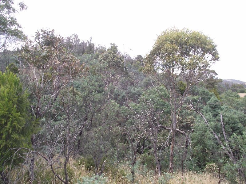 Colebrook TAS 7027