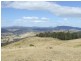 Elderslie TAS 7030