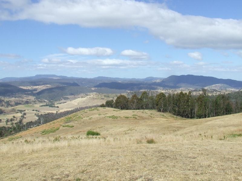 Elderslie TAS 7030