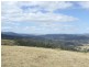 Elderslie TAS 7030