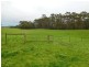 Lot 3 Stennings Road, Wynyard TAS 7325